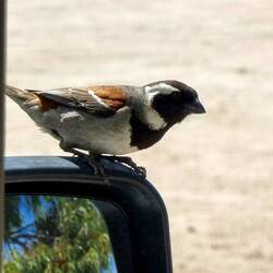 A visitor to my office