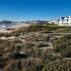 The Golden Mile Shelly Point