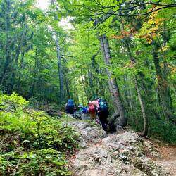 hiking up, up and up