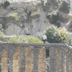 Herr der 🐐. Er hat uns ermutigt drüberzugehen. Als wir zögerten, ging er kurzerhand voran...