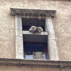 The cats were supposed to scare away the disease