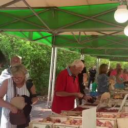 Ambience in tne Sunday market