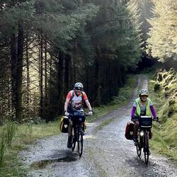 Forest track