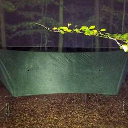 Rastplatz am Abend (Tag 125)