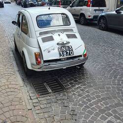 Ein echter alter Cinquino