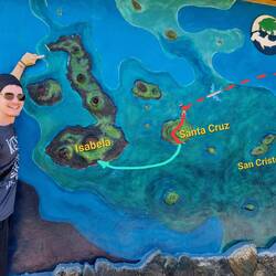 Am nächsten Morgen können wir endlich weiter nach Isabela