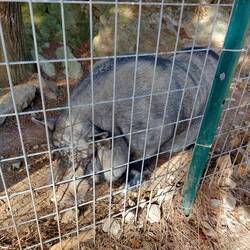 Making friends along the way! Takes one to know one...