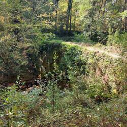 Overgrown stone bridge