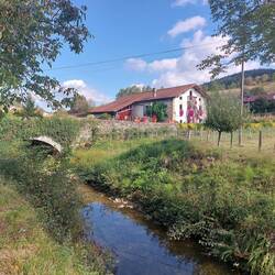 How our house/garden is going to look… next year!