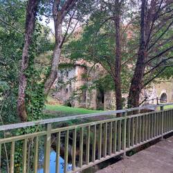 Solid looking buildings getting overgrown