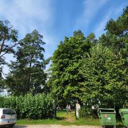 Vincas speaking to a man who remembered the Šlikas family