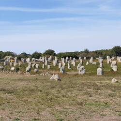 Eines der berühmten Megalith Felder bei Carnac