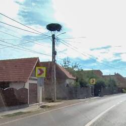 Jedes Dorf hat ein Storchennest