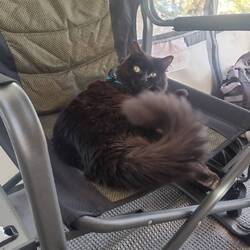 I had a huge adventure today!