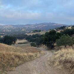 Lovely hills and dales - reminder of Australia