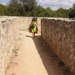 Das steinerne Labyrinth