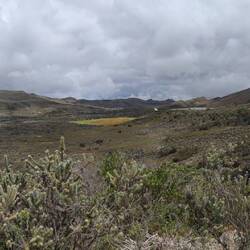 Das gelbe ist ein Moor und das andere die Lagune