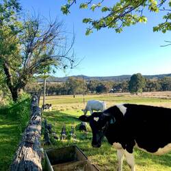 Well hello there again Mr Heart