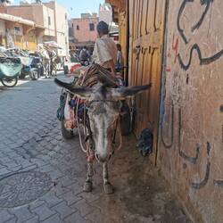 Boh äh, für heute reicht es mir