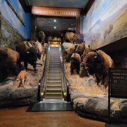 Entrance to the wildlife section