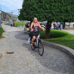 Das sind Rhododendronbäume