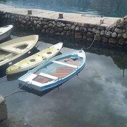 Morning after the rain..