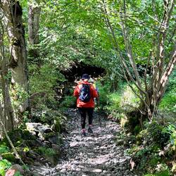 We climbed up stony paths