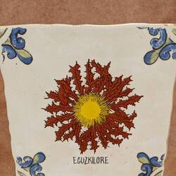 My favorite Spanish flower❤️