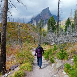 Walking towards St Mary's Fall