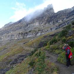 Part of the Garden Wall