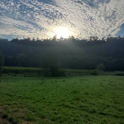 Morgens ist es wunderbar