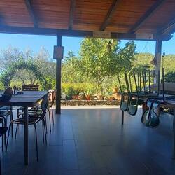 Terrace of the Eco-social farm