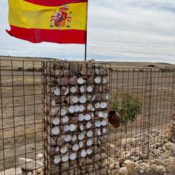 Shell wall that tinkles in the wind