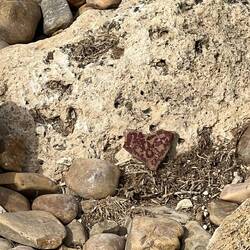 Laying my burden to rest here It is time to move on.