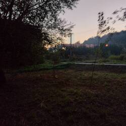 Morgendämmerung