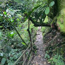 Stien vi gik på til vandfaldet