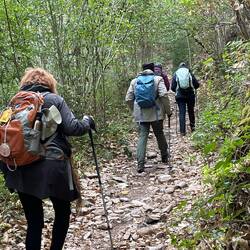 On our afternoon walk to burn off the aligot