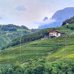 Die Wolken hängen wie Fetzen über den Weinbergen