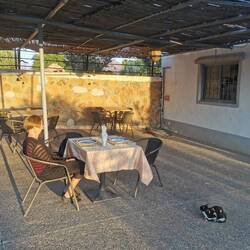 Die erste Katze von dreien lauerte schon