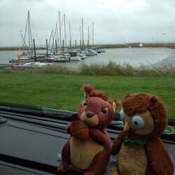 Elue und Hörnchen im Watthafen