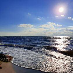 Wieder am Strand.