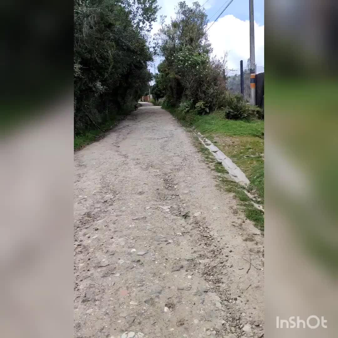 Tägliche Mausibegrüßung - später kommt noch Cloe dazu