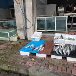 Wir haben heute mehrmals gelernt... Frischen Fisch zu kühlen ist nicht so wichtig