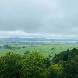 Aussicht von Neuschwanstein