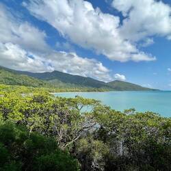 Where the forest meets the sea 😍