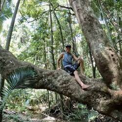 Lachlan climbing trees at Emmagen