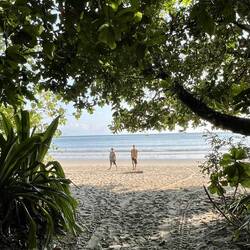 Cape Tribulation Beach