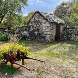 Marie-France's backyard