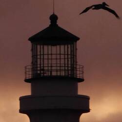 J'ai m^me cette photo sur mon iphone et montre 🤪