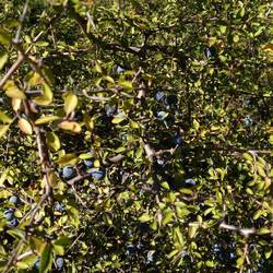 Nicht schwer... wer erkennt's? 😍